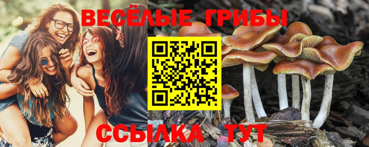 Ливны  Галлюциногенные грибы мухоморы  Псилоцибиновые грибы GOLDEN TEACHER  Вход с VPN 